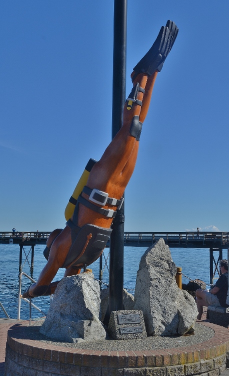 rescue diver memorial
